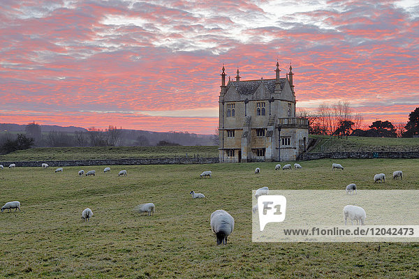 Festsaal von Campden House und Schafe bei Sonnenuntergang  Chipping Campden  Cotswolds  Gloucestershire  England  Vereinigtes Königreich  Europa
