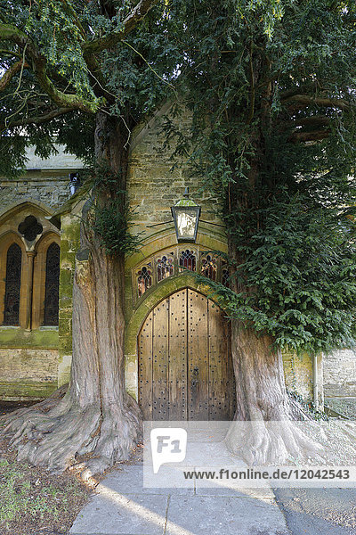 Yew trees and door of St. Edward's Church Stow-on-the-Wold Cotswolds Gloucestershire England United Kingdom Europe