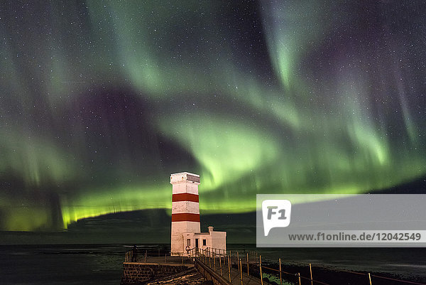 Spektakuläres Schauspiel der Aurora Borealis (Nordlichter) in Gardur  auf der Halbinsel Reykjanes  Island  Polarregionen