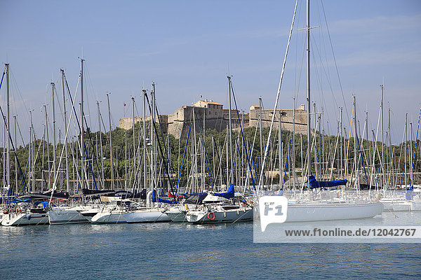 Fort Carre  Port Vauban  Hafen  Antibes  Côte d'Azur  Französische Riviera  Provence  Frankreich  Mittelmeer  Europa