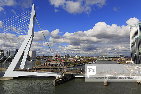 Erasmus Bridge  Rotterdam  South Holland  Netherlands  Europe