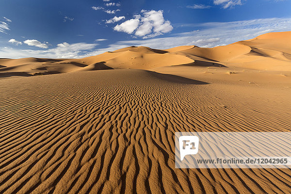 Weitwinkelansicht der Wellen und Dünen des Erg Chebbi Sandmeeres  Teil der Sahara-Wüste bei Merzouga  Marokko  Nordafrika  Afrika