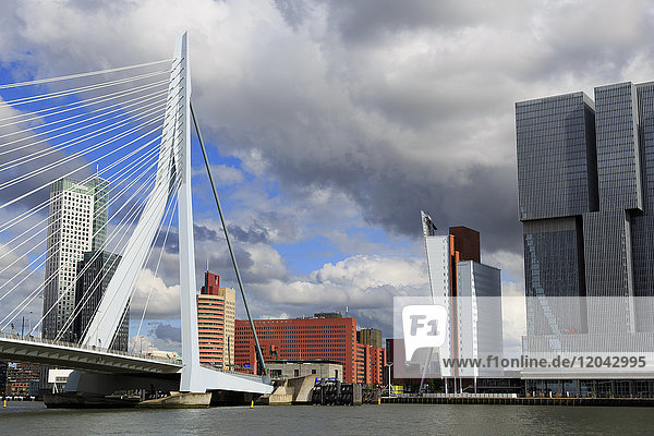 Erasmus Bridge  Rotterdam  South Holland  Netherlands  Europe