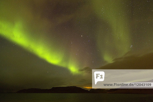 Aurora Borealis (Nordlicht)  Grundafjordur  Snaefellsnes-Halbinsel  Island  Polarregionen