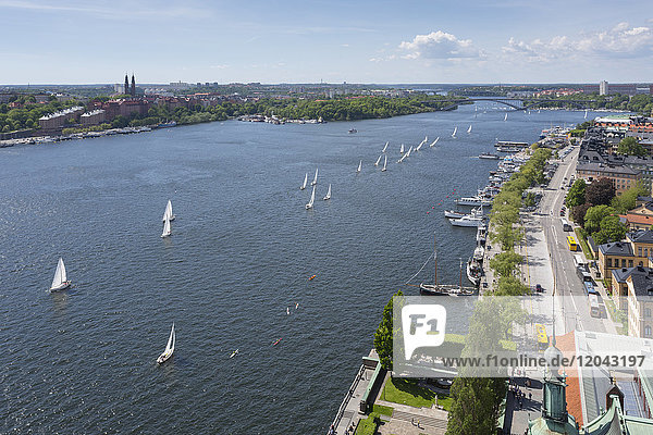 View of yacht race from Town Hall Tower on Sweden's National Day  Stockholm  Sweden  Scandinavia  Europe