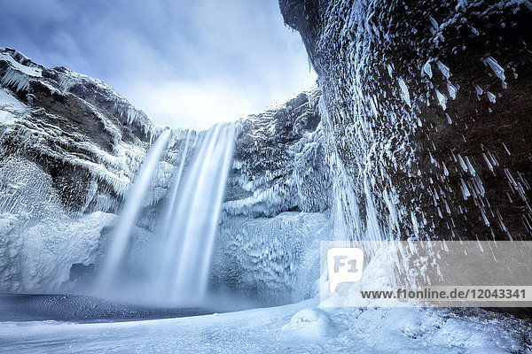Winteransicht des Skogafoss-Wasserfalls  mit eiszapfenbedeckten Felsen und verschneitem Vorgelände  Skogar  Südisland  Polarregionen