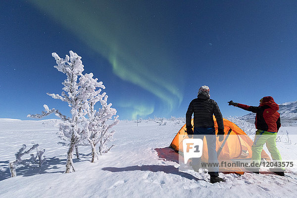 Wanderer vor dem Zelt mit Blick auf die Nordlichter (Aurora Borealis)  Abisko  Gemeinde Kiruna  Bezirk Norrbotten  Lappland  Schweden  Skandinavien  Europa