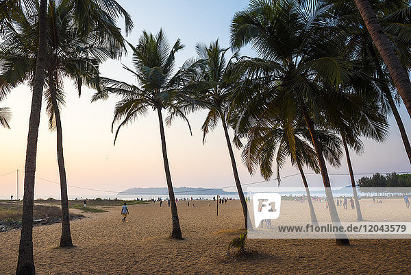 Miramar Beach bei Sonnenuntergang  Panjim  Goa  Indien  Asien