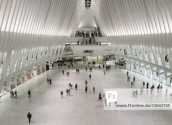 Calatrava's World Trade Center Oculus Shopping Mall  New York  Vereinigte Staaten von Amerika  Nordamerika