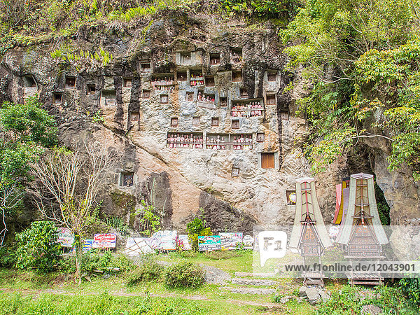 At this burial cliff  condolence signs from past funerals and coffin carriers shaped like traditional Torajan houses are left below the crypts and tao-taos  Tana Toraja  Sulawesi  Indonesia  Southeast Asia  Asia