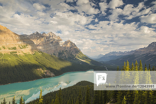 Wide view of Peyto Lake  Banff National Park  UNESCO World Heritage Site  Alberta  Rocky Mountains  Canada  North America