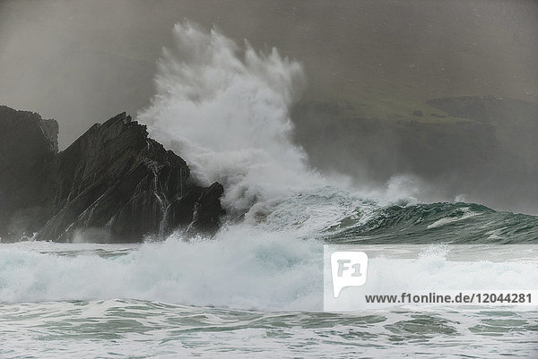 Wellen brechen an Felsen  Clogher Bay  Clogher  Dingle-Halbinsel  County Kerry  Irland  Britische Inseln
