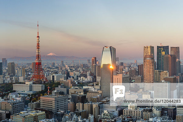 Abendlicher Blick auf die Skyline der Stadt und den ikonischen Tokyo Tower  Tokio  Japan  Asien