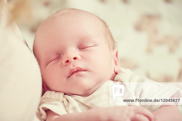 Neugeborenes Baby Junge  schläft in den Armen der Mutter  Nahaufnahme