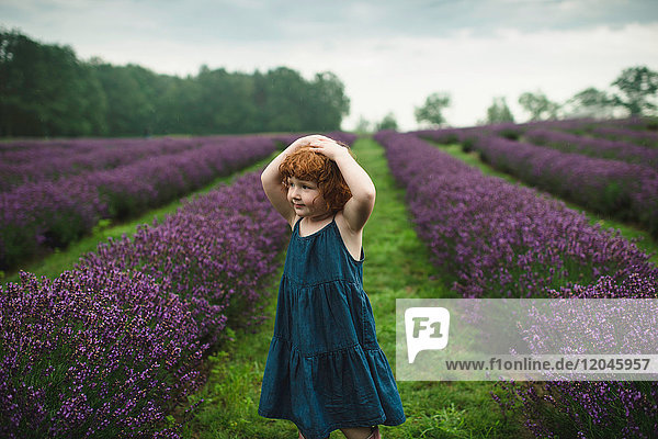 Toddler between rows of lavender  Campbellcroft  Canada