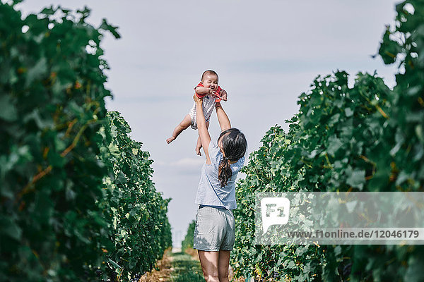 Woman holding up baby daughter in vineyard  Bergerac  Aquitaine  France