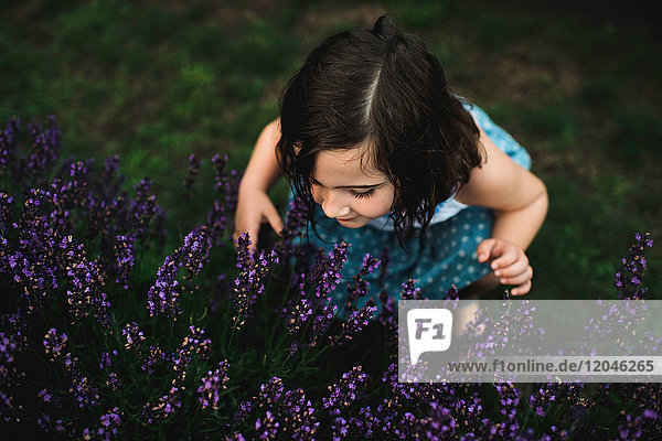 Girl among lavender