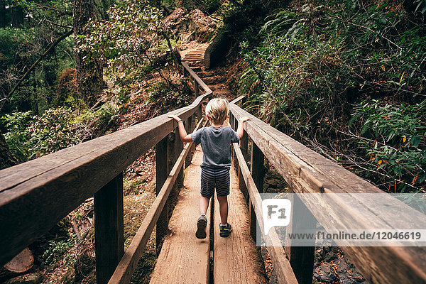 Rear view of boy crossing pedestrian bridge Fairfax California USA North America