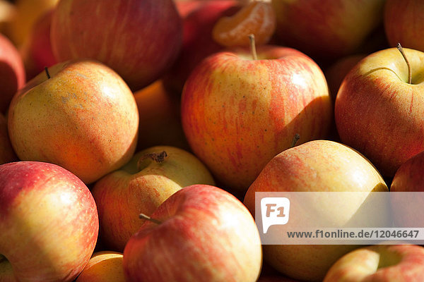 Full frame image of apples