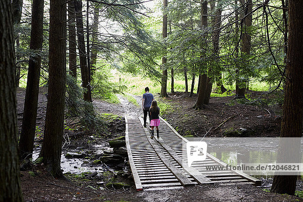 Two girls walking across wooden footbridge in forest  rear view