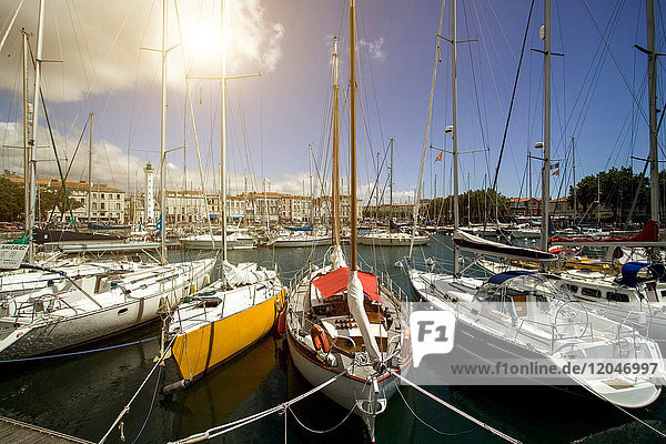 Yachten liegen im Yachthafen am Wasser  La Rochelle  Poitou-Charentes  Frankreich