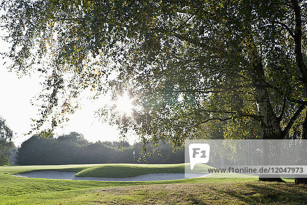 Golf Course