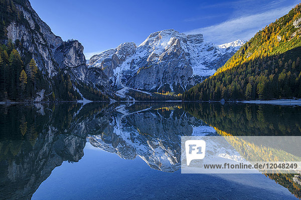 Croda del Becco (Seekofel) reflected in the calm waters of Braies Lake in autumn in the Prags Dolomites  South Tyrol  Italy