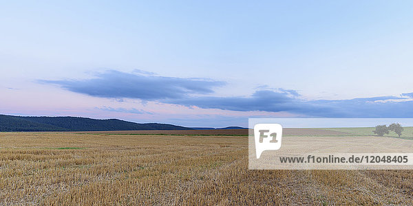 Harvested cereal grain field at dusk in summer at Roellbach in the Spessart hills in Bavaria  Germany