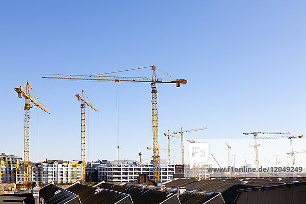Construction Cranes  Dusseldorf  Germany