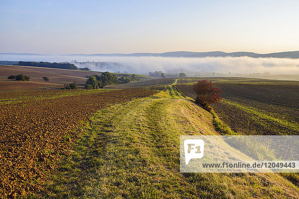 Landschaft mit Weg und Morgennebel über den Feldern in der Gemeinde Großheubach in Bayern  Deutschland