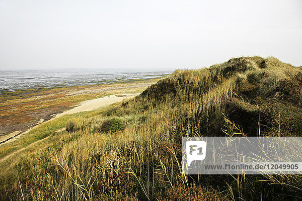 Morsum-Kliff  Sylt  Deutschland