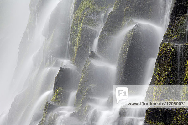 Nahaufnahme der über Basaltsäulen stürzenden Proxy Falls in der Three Sisters Wilderness in Oregon  USA