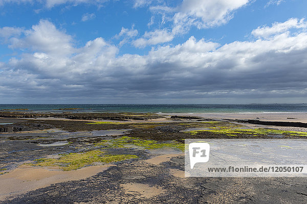 Rocky beach with dramatic clouds over the North Sea at Bamburgh in Northumberland  England  United Kingdom