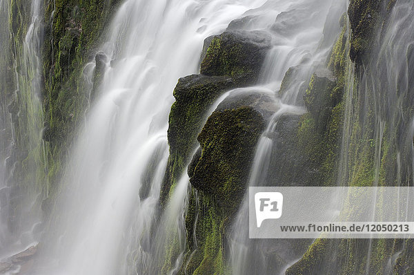 Nahaufnahme der über Basaltsäulen stürzenden Poxy Falls in der Three Sisters Wilderness in Oregon  USA