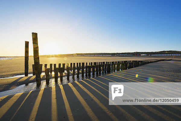 Wooden Breakwater on Beach at Low Tide at Sunrise Domburg North Sea Zeeland Netherlands