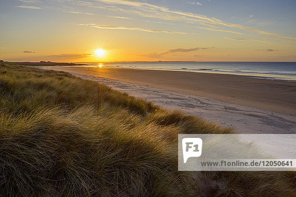 Die Sonne spiegelt sich auf dem Dünengras und dem Strand bei Sonnenaufgang über der Nordsee  Bamburgh in Northumberland  England  Vereinigtes Königreich