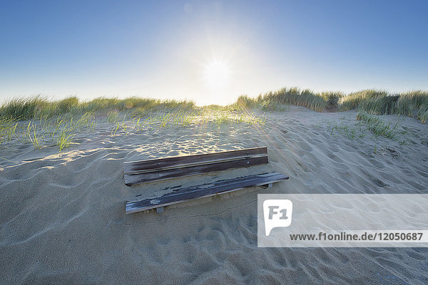Bench Buried in Sand Dune Domburg North Sea Zeeland Netherlands
