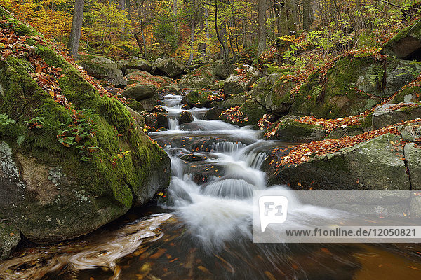 Fließendes Wasser in der Ilse mit Herbstlaub  Ilsetal am Heinrich-Heine-Weg im Nationalpark Harz  Deutschland