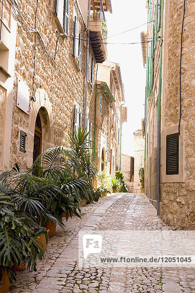 Straße mit Kopfsteinpflaster  Fornalutx  Mallorca  Spanien