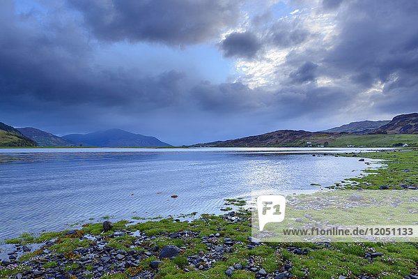 Grassy shoreline with dramatic clouds at sunrise along Scottish coast near Eilean Donan Castle and Kyle of Lochalsh in Scotland