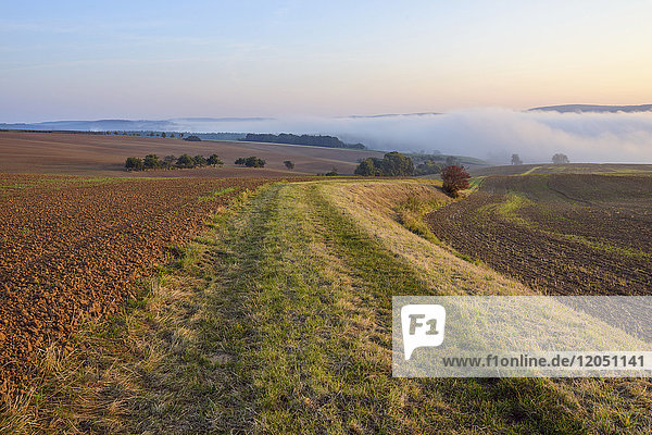 Countryside with path and morning mist over fields at Grossheubach in Bavaria Germany