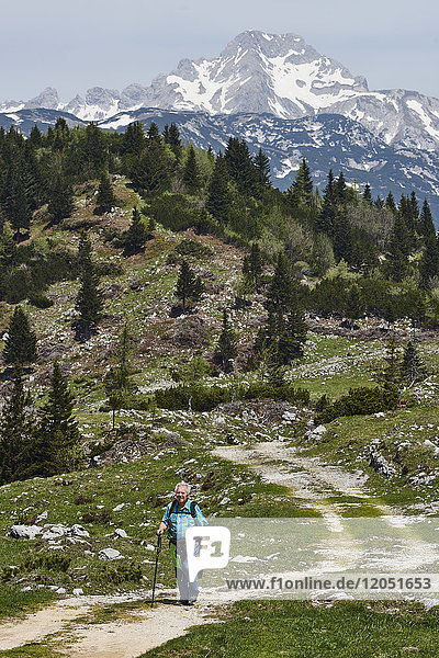 Ein älterer Mann wandert auf einem Pfad mit den Kamnik-savinja Alpen in der Ferne; Slowenien