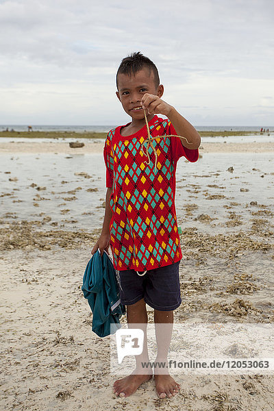 Junger Junge hält einen spröden Seestern aus dem Wasser; Anda  Bohol  Central Visayas  Philippinen