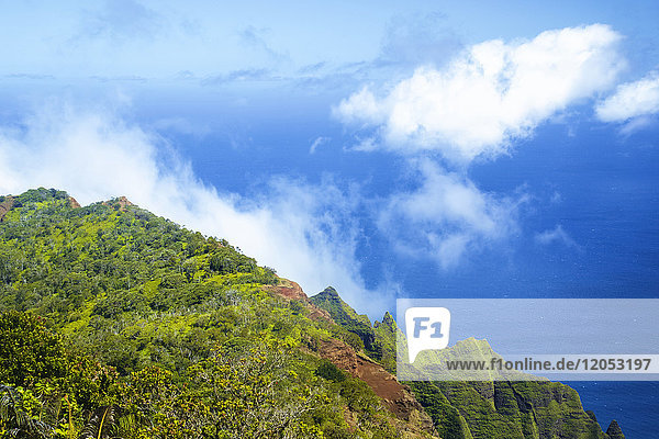 Schroffe Berggipfel in einer mit dichtem  üppigem Laub bedeckten Landschaft; Hanalei  Kauai  Hawaii  Vereinigte Staaten von Amerika