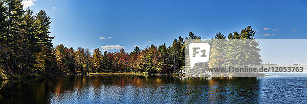 Bäume in Herbstfarben entlang eines Sees; Frontenac  Ontario  Kanada