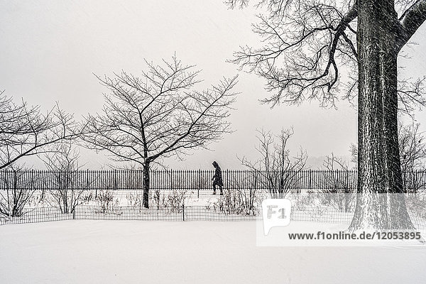 Blizzard Bedingungen durch die Jacqueline Kennedy Onassis Reservoir  Central Park; New York City  New York  Vereinigte Staaten von Amerika