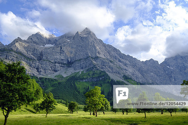 Österreich  Tirol  Karwendel  Riss-Tal  Eng  Ahornboden  Ahornbäume