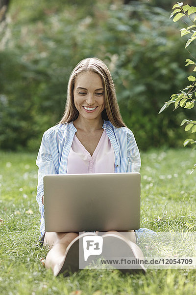 Smiling young woman using laptop on a meadow