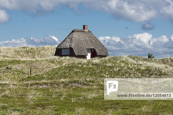 Dänemark  Norre Nebel Sogn  Haus mit Strohdach in den Dünen