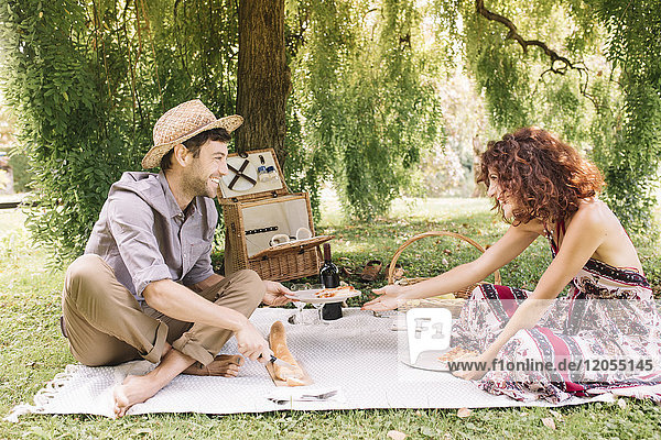 Happy couple having a picnic in a park